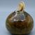 Coloured Ardens Grafton  Burr Ash